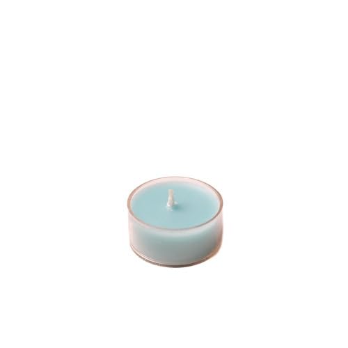 Signature Home Décor Studio Set of 2 Sea Breeze Scented Acrylic Encased Tea Lights