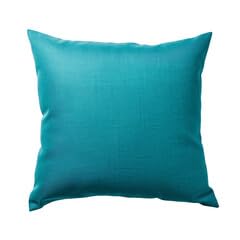 Cotton Pillow Set of 2