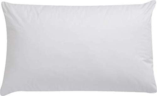 Sanjeev Textiles Super Qualit Soft Comfortable Microfiber Pillow, 20x 30-inches, White