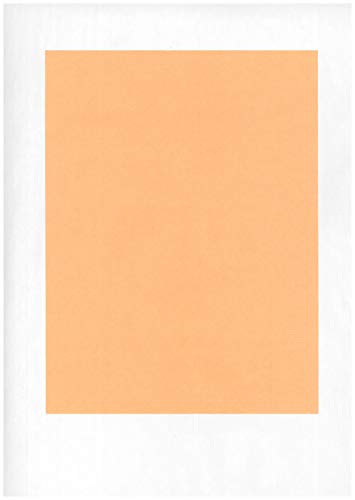 9x12" Peach Steak/BBQ Paper 1,000 Sheets per case McN