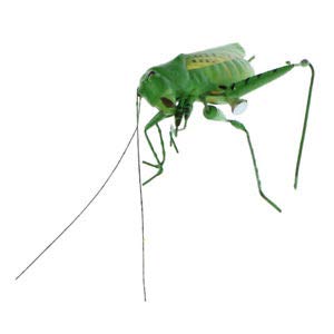 BIG BOOM® Vivid Insect Katydid Imitation Animal Fridge Magnet Outdoor Lawn Tree Decor