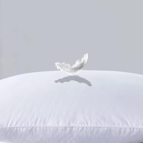 Jewear 50% Goose Down 50% Feather Luxury Cotton White Pillow Set of 2 Piece (17 X 27)