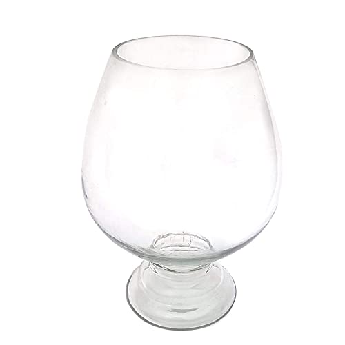 SHOBHANA ENTERPRISES Crystal Clear Glass Fish or Terrarium Wine Cup Bowl (8 inches)