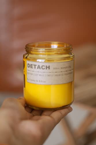 Detach When Manifesting | 200 Gm Soy Wax Premium Scented Candle