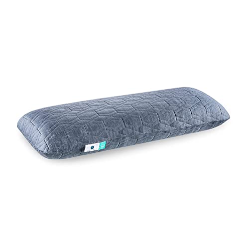 The White Willow Half Body Soft Memory Foam Pillow Insert for Maternity, Side Sleeper, Back Support with Cuddle Pillow Zippered Cover - 10" X 30", Grey