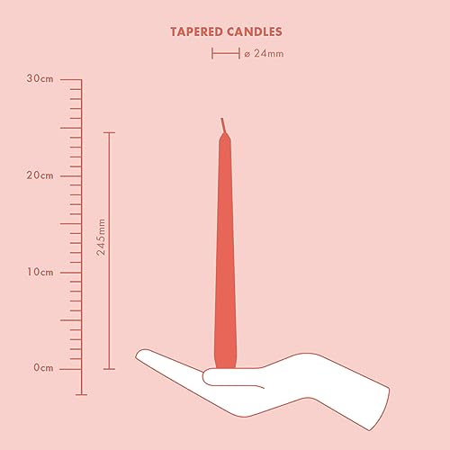 Bolsius Tapered Candles - Ivory - 8-Pack - 24.5 cm - Decorative Household Candles - Burning Time of 7 Hours - Unscented - Natural Vegan Wax - Without Palm Oil