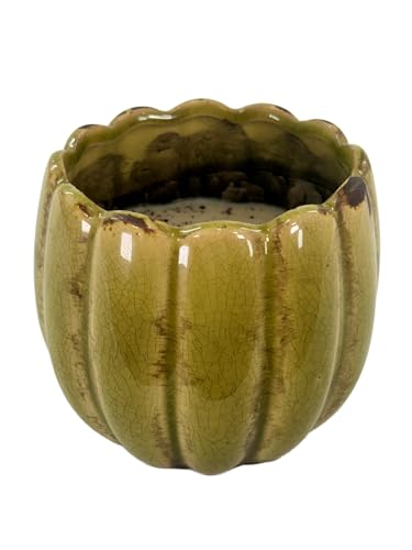 Swan Creek Petal Pot Candle Large Honey Soaked Apples 20oz, Green