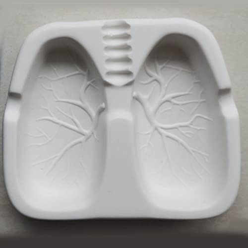 SHUBNALI Creative Funny Ashtray Home Decoration Novelty Gift Lungs Shaped