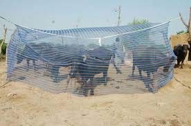 DIVAYANSHI Anaya Retailers HDPE Animal Mosquito Net for Cow/Buffalo (Multicolour; 25 x 15 x 10 ft)