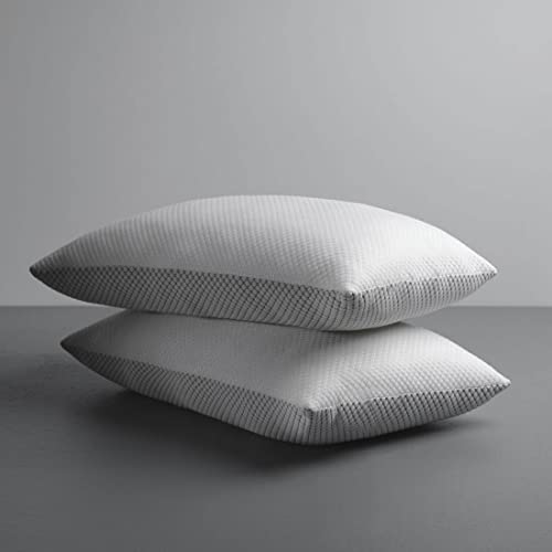 LA VERNE Virgin Microfibre Blown Technology Filled Luxurious Anti Bacterial Cloth Sleeping Pillow Pack of 2 (27X16 Inch) (Silver)