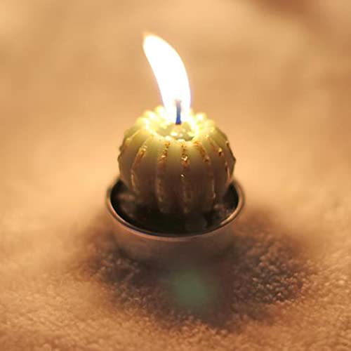 THE STYLE SUTRA 6 Pieces Cactus Tealight Candles Handmade Delicate Succulent Cactus Candles