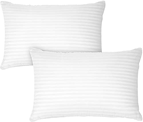 Wakewell Hollow Fibre Bed Pillow Set (17 X 27 Inch) - 2 Pieces (Microfiber)