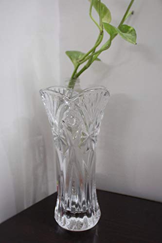 Your Style Glass Floral Flower Vase - Flower Pot-(Pack of 1) for Home Decor/Dining Table/Office Desk/Hotels