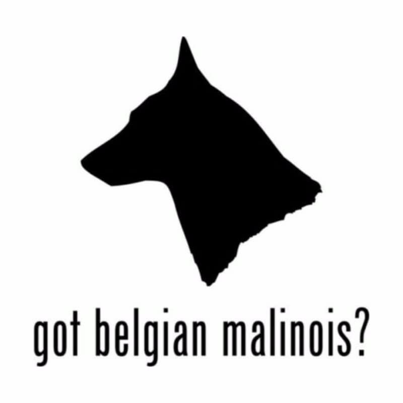 GADGETS WRAP Vinyl Wall Decal Sticker Animal Fashion Belgian Malinois Got to Remind The Car