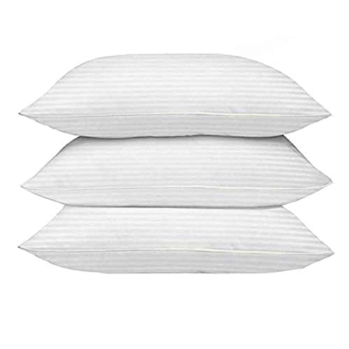 Perfect Sleeper rectangular 12x18 Inches cushion, Set of 3, Arika Microfiber Hotel Quality Premium Fibre Soft Cushion, Pillow Filler, White