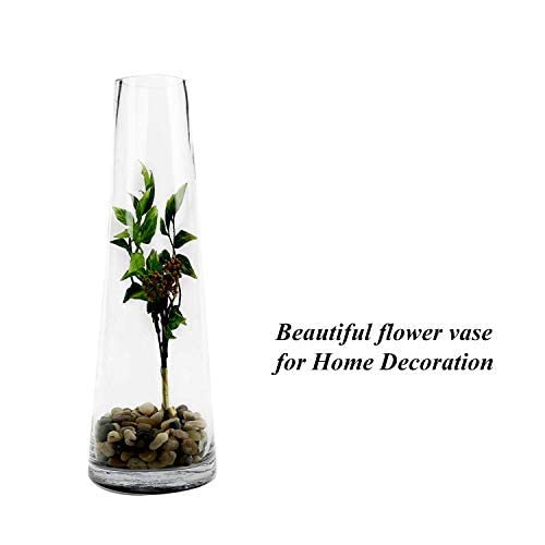 Vikram Glass Vase Tapered (30cmx9cmx5.5cm, Clear) Pack of 1 (Clear)