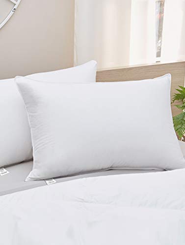 Story@Home Luxurious 2 Piece Microfibre Pillow Set - 16"x24", White