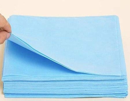 Disposable Nonwoven Bedsheet 31 x 72 Inches Blue | White for Travel | Home Use | Hospital | Patient (Pack of 10, Blue)