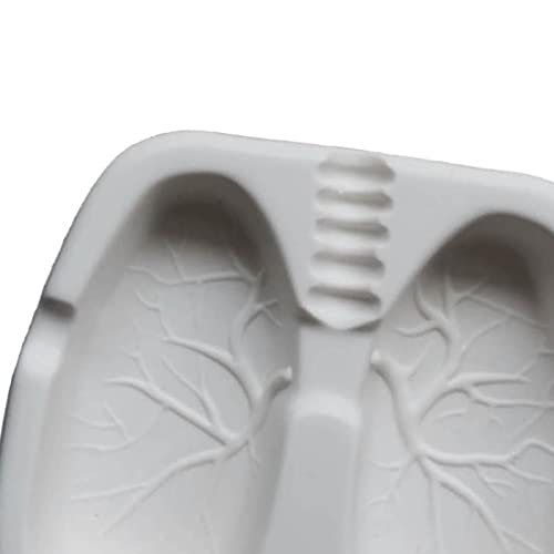 SHUBNALI Creative Funny Ashtray Home Decoration Novelty Gift Lungs Shaped