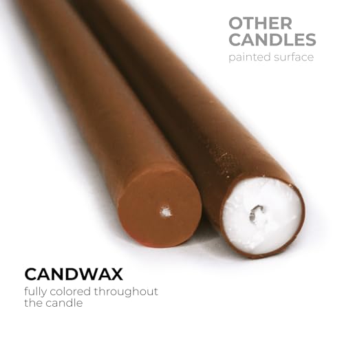 CANDWAX 10 inch Taper Candles Set of 12 - Dripless Tapered Candles and Unscented Candlesticks - Perfect as Dinner Candles and Household Candles - Brown Candles for Home Decor