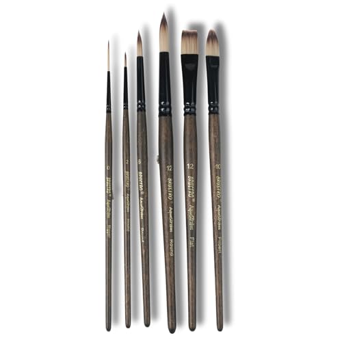 Brustro AquaStrokes Artist Brushes for Watercolour, Gouache, Acrylics and Oil Brush Set of 6