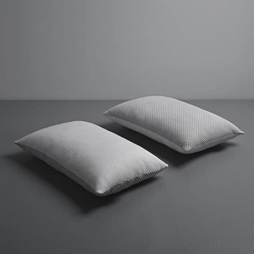 LA VERNE Virgin Microfibre Blown Technology Filled Luxurious Anti Bacterial Cloth Sleeping Pillow Pack of 2 (27X16 Inch) (Silver)