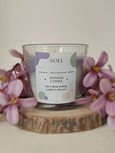 SOEL Tri-Cone Color Block Candles - Pack of 2 (Lavender + Winterbirchwood + Jasmine & Frosted Juniper + Jasmine + Vanilla)