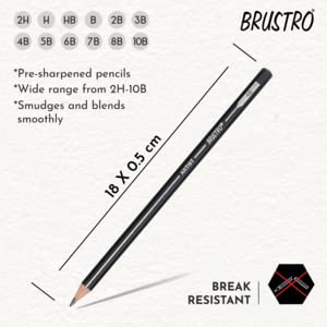 BRUSTRO ARTISTS’ FINEART GRAPHITE PENCIL SET OF 12 (10B-2H) + Free 2 Brustro ECO-PVC Dust-free erasers worth Rs24