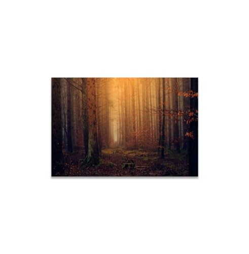 GADGETS WRAP Canvas Gallery Wrap Framed for Home Office Studio Living Room Decoration (14x11inch) - Misty Autumn Forest (2)