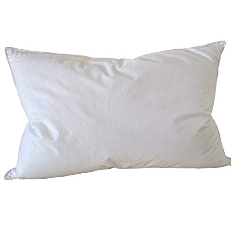 Sanjeev Textiles Super Qualit Soft Comfortable Microfiber Pillow, 20x 30-inches, White