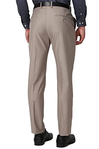 Peter England Men's Slim Work Utility Pants (PITFSSLBW93054_Beige_40)