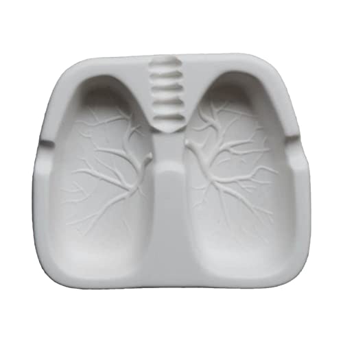 CALANDIS Creative Funny Cigar Ashtray Home Decoration Novelty Gift Lungs Shaped