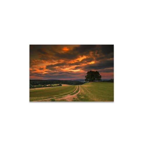 GADGETS WRAP Canvas Gallery Wrap Framed for Home Office Studio Living Room Decoration (14x11inch) - Green Grass Field Sunset Photograph