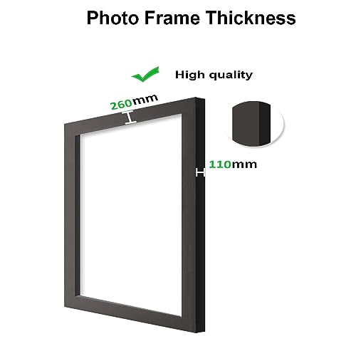 GADGETS WRAP Printed Photo Frame Matte Painting for Home Office Studio Living Room Decoration (11x17inch Black Framed) - Peacock Feather Print
