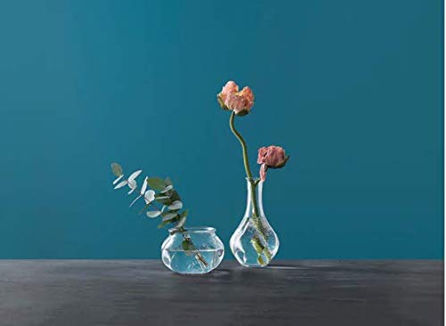 VILJESTARK - ikea - Vase, Clear Glass, 17 cm (6 ¾")