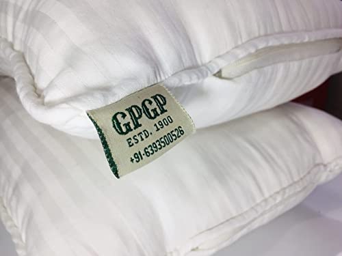 GPGP Pure Semal Cotton Pillows - Sleeping Pillows (Filled with Silk Cotton), White - Set of 2