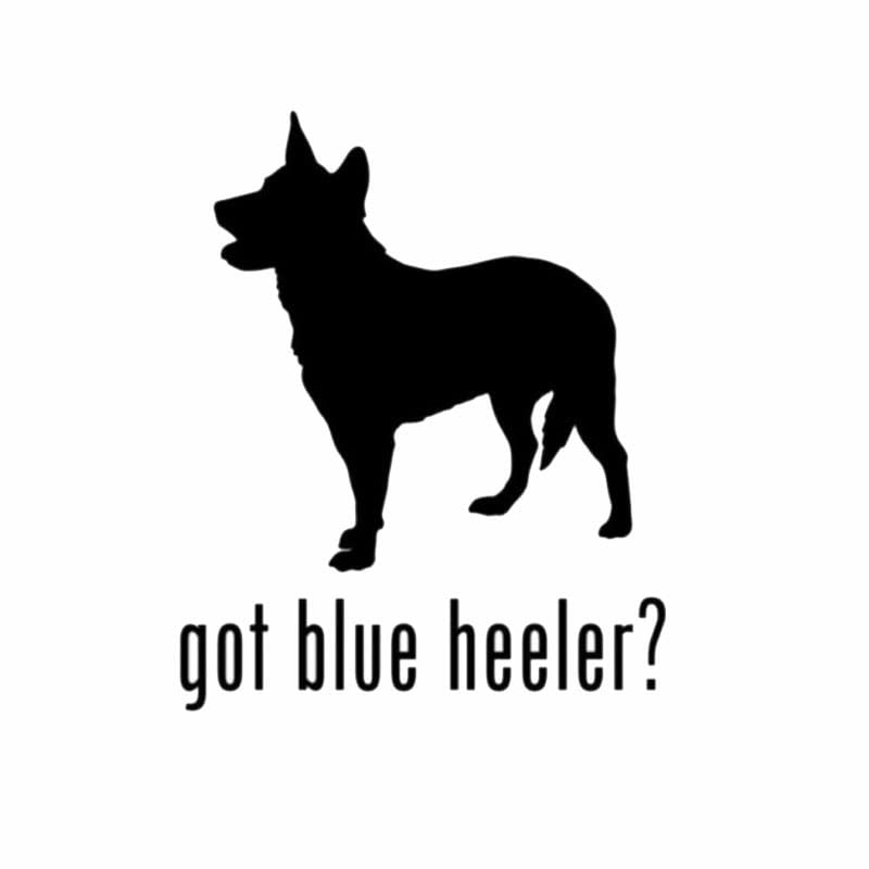 GADGETS WRAP Vinyl Wall Decal Sticker Got Blue Heeler Dog Car Sticker Waterproof