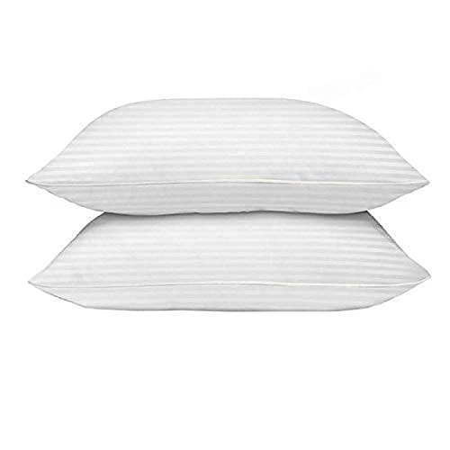 VLYSIUM rectangular 12x18 Inches cushion, Set of 2, Microfiber Hotel Quality Premium Fibre Soft Cushion, Pillow Filler, White