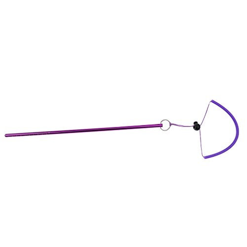 bnf® Scuba Diving Aluminum Lobster Tickle Pointer Stick with Wrist Lanyard Purple | Water Sports | Scuba & Snorkeling | Other Scuba & Snorkeling