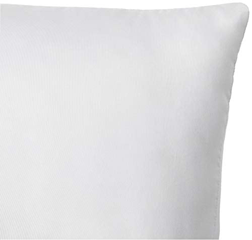 Amazon Brand - Solimo Microfibre & Polyester 2-Piece Bed Pillow Set - 16 x 24 Inch, White