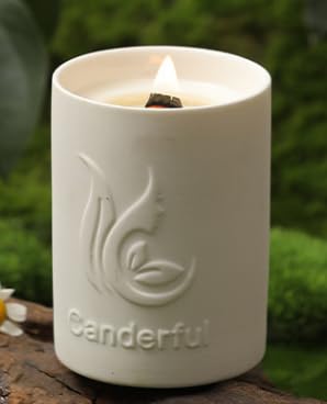 ABSORBIA Nature-Inspired Scented Candle for a Refreshing Ambiance with Fragrance of Green Branch Magnolia,6% Perfume Concentrates, Essential Oil and Soybean Wax, 180g, 36-Hour Burn Time, Ceramic Cup