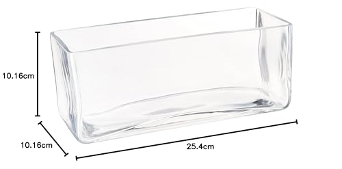 WGV Clear Long Rectangle Block Glass Vase, 4 by 10 by 4-Inch