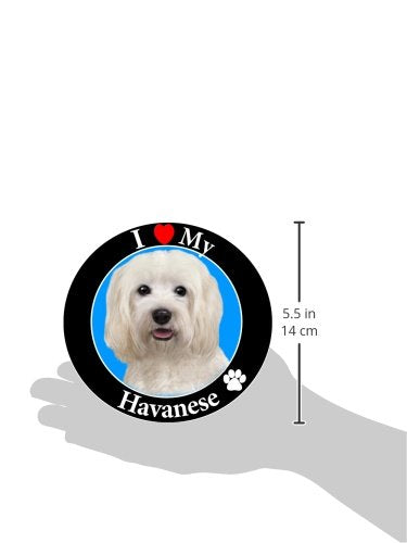 "I Love My Havanese" Car Magnet with Realistic Looking Havanese Photograph in The Center Covered in UV Gloss for Weather and Fading Protection Circle Shaped Magnet Measures 5.25 inches Diameter