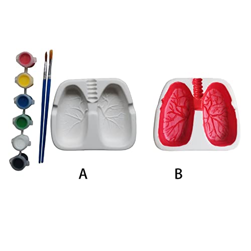 SHUBNALI Creative Funny Ashtray Home Decoration Novelty Gift Lungs Shaped