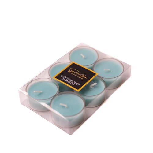 Signature Home Décor Studio Set of 2 Sea Breeze Scented Acrylic Encased Tea Lights