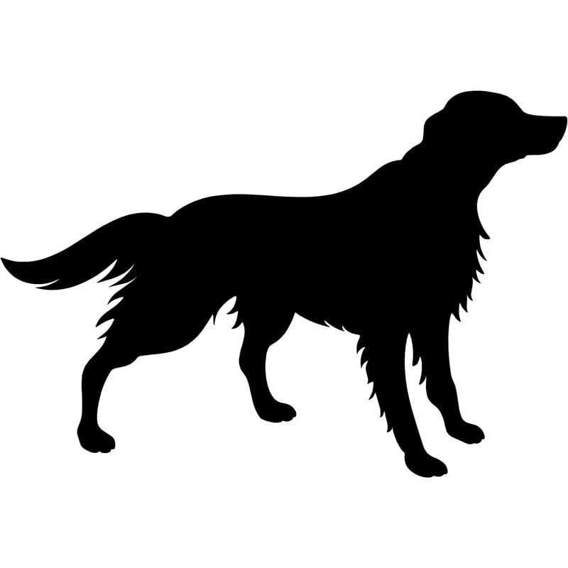 GADGETS WRAP Vinyl Wall Decal Sticker Irish Setter Dog Woolly Cute Dog Car