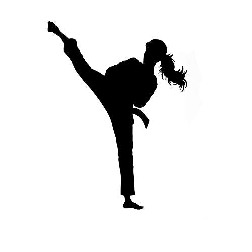 GADGETS WRAP Wall Decal Vinyl Sticker Wall Decoration - Karate Kick Martial Arts