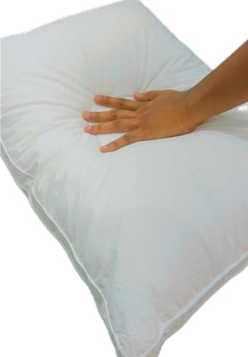 Lexia Microfiber Plush Pillow | Soft Comfortable Neck Support | Anti Bacterial | Adjustable Zipper,17x27inch