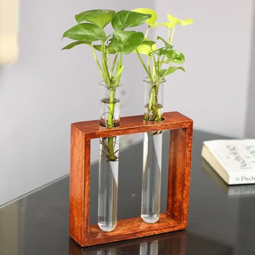 The Pot Dealer Square Wooden Plant Holder Modern Test Tube Planter| Office/Living Room Decoration Items | Glass Planter for Table Top