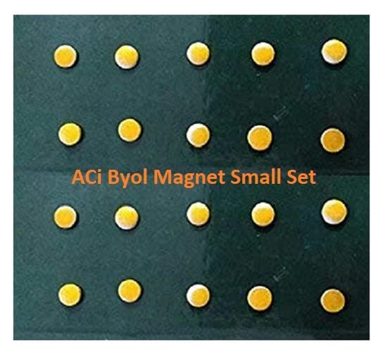 ACi Byol Magnet Set Of 10 Qty- (100 Packet)